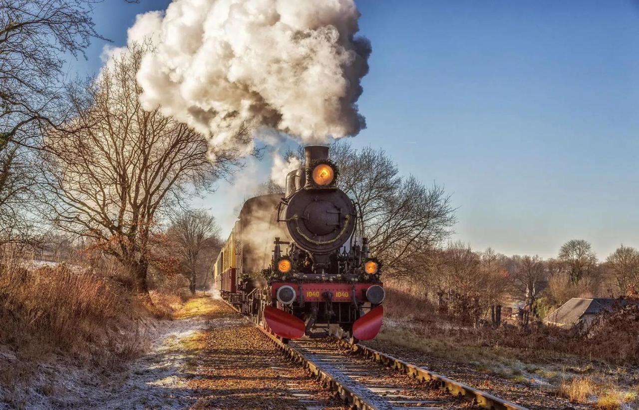 Gehele Bungalow Zuid-Limburg Op Een Park シンペルフェルト エクステリア 写真